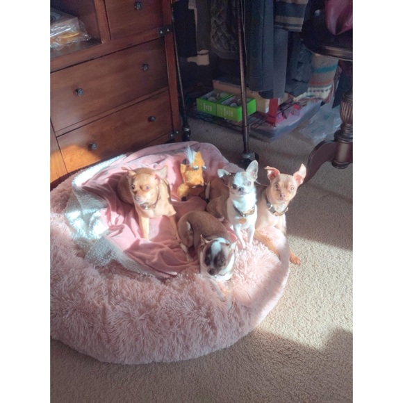 🌸Tesoros Escondidos by Angelique🌸 - Picture 7 of 11